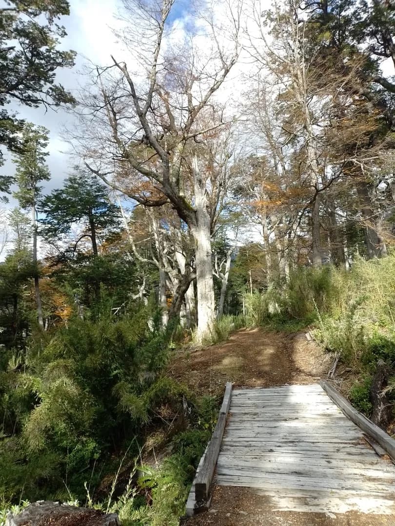 Campo Rio Chico, Futaleufú - TERRENO en Futaleufú