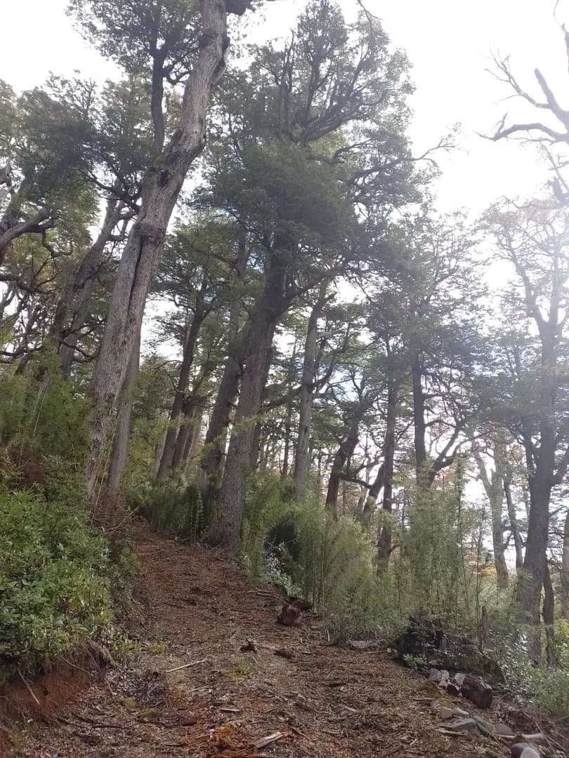 Campo Rio Chico, Futaleufú - Imagen 3