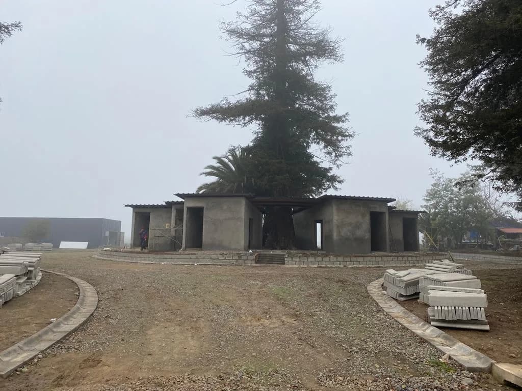 Cementerio Parque La Paz - Imagen 2