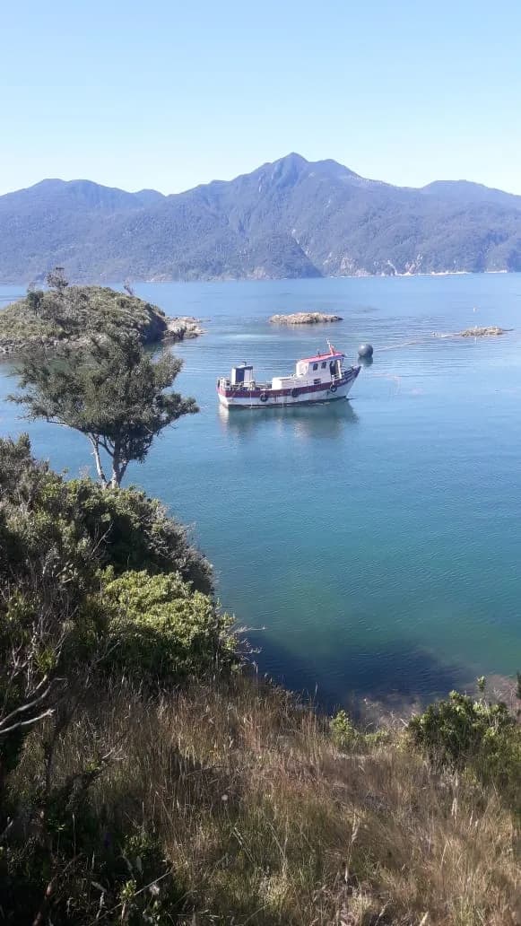 Lote Isla Caicura - Hualaihue - Imagen 2