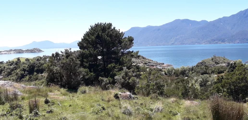 Lote Isla Caicura - Hualaihue - Imagen 4