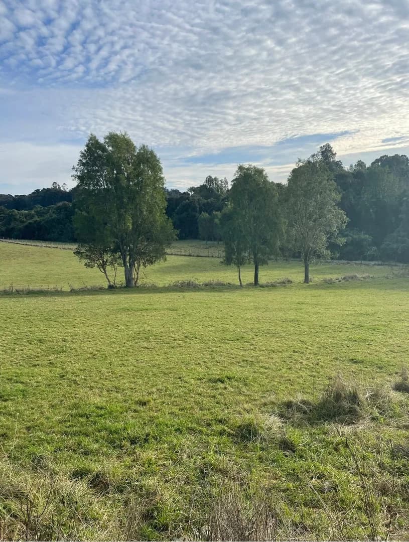 Parcela Mirador de Ostiones, Los Muermos - PARCELA en Los Muermos