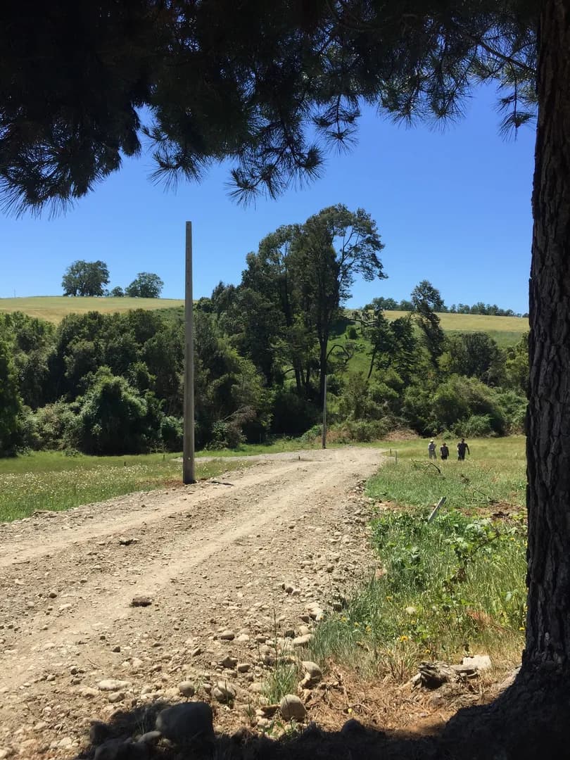 Parcela Mirador de Ostiones, Los Muermos - Imagen 2