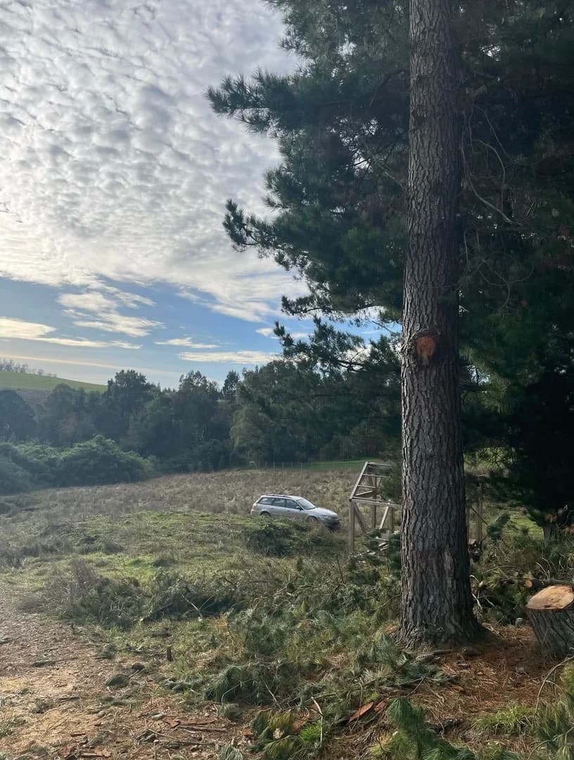 Parcela Mirador de Ostiones, Los Muermos - Imagen 3