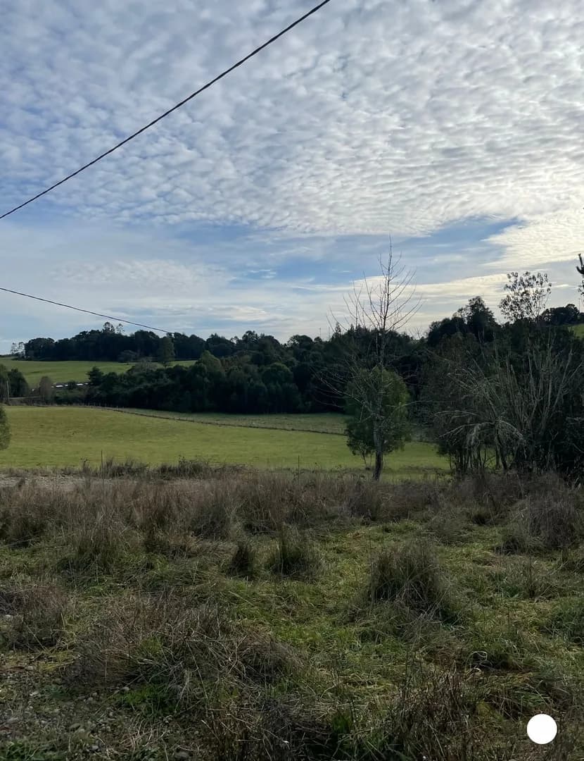 Parcela Mirador de Ostiones, Los Muermos - Imagen 4