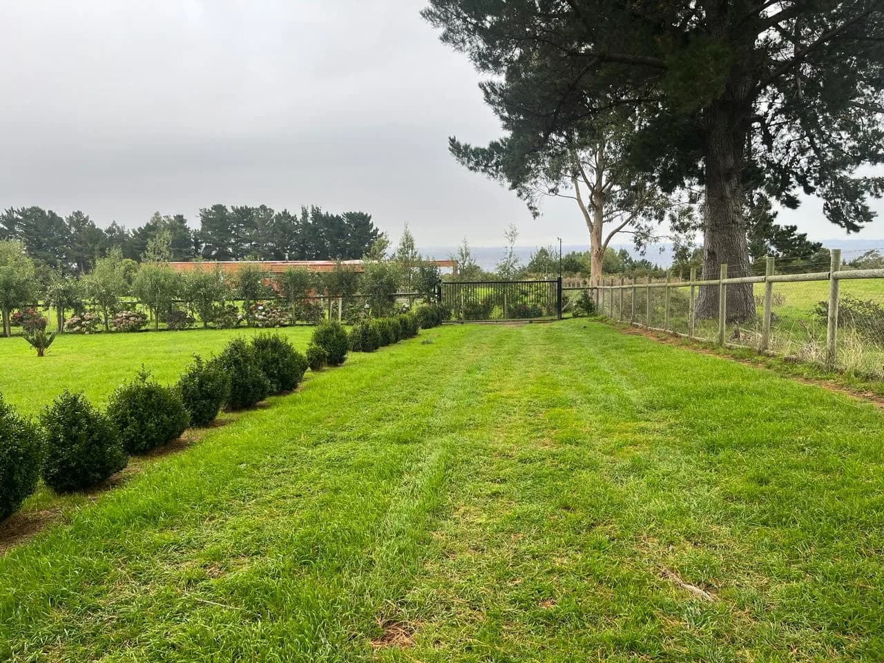 Vivienda y Parcela, Sector Los Riscos Ensenada - Imagen 5